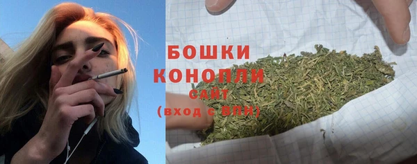гашик Беломорск