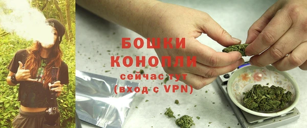 гашик Беломорск