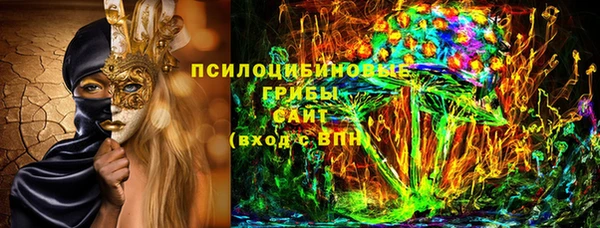 гашик Беломорск